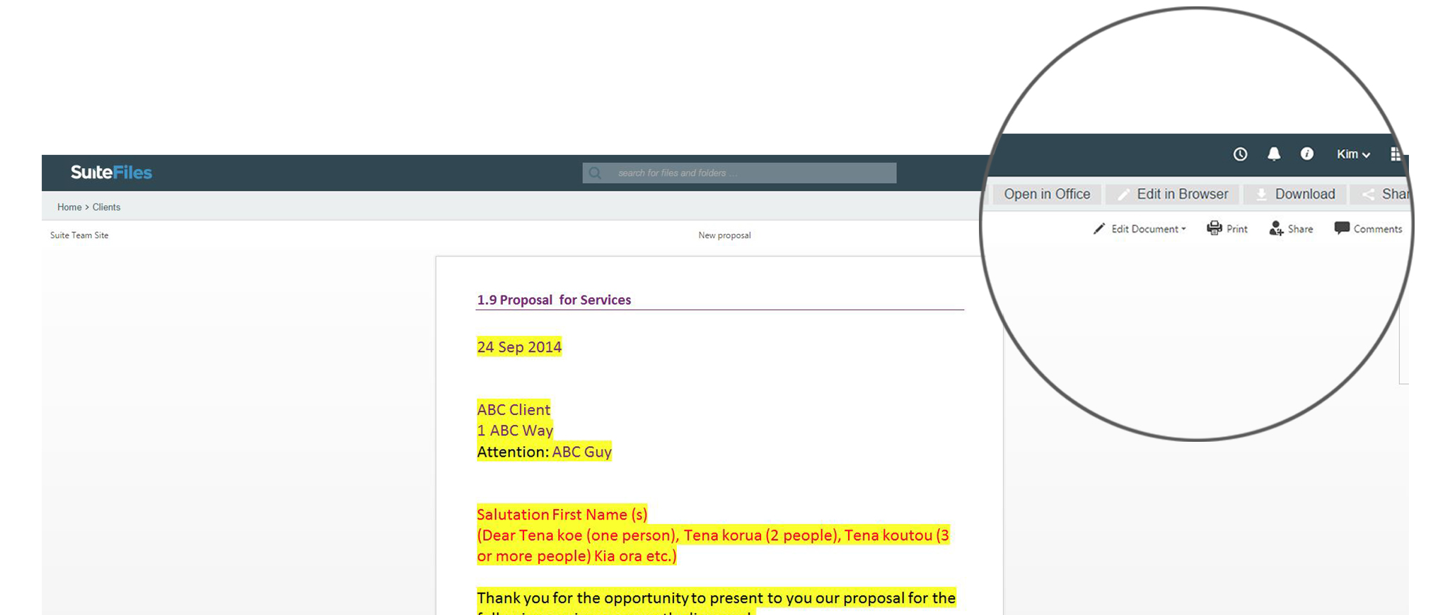 View of SuiteFiles without the Chrome plugin installed